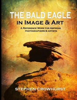 Bertrand.pt - The Bald Eagle In Image & Art