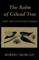 The Balm Of Gilead Tree