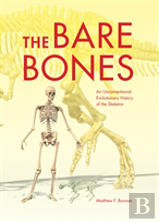 The Bare Bones