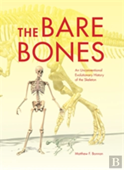 Bertrand.pt - The Bare Bones