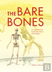 The Bare Bones