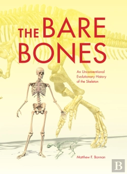 Bertrand.pt - The Bare Bones