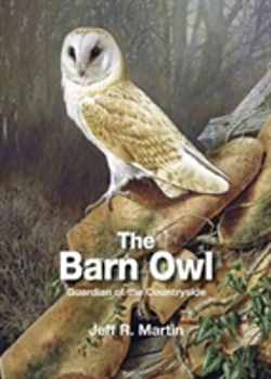 Bertrand.pt - The Barn Owl