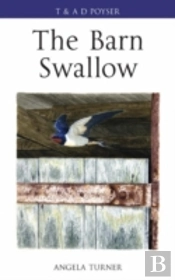 The Barn Swallow