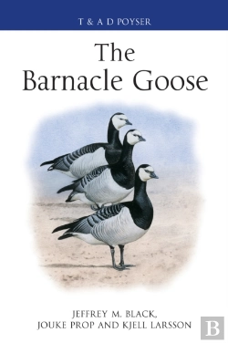 Bertrand.pt - The Barnacle Goose