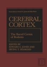 The Barrel Cortex Of Rodents