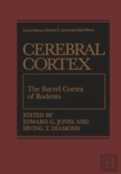 The Barrel Cortex Of Rodents