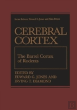 Bertrand.pt - The Barrel Cortex Of Rodents