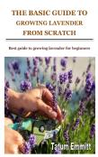 The Basic Guide To Growing Lavender From Scratch