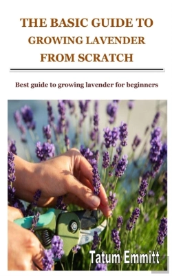 Bertrand.pt - The Basic Guide To Growing Lavender From Scratch