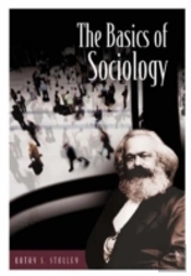 The Basics Of Sociology