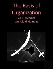 The Basis Of Organization (Large Print)