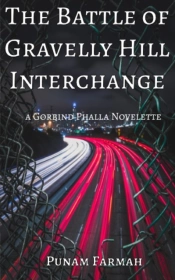 The Battle Of Gravelly Hill Interchange