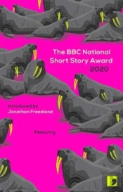 The Bbc National Short Story Award 2020