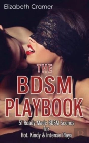 The Bdsm Playbook