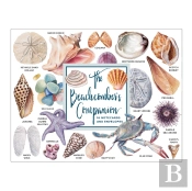The Beachcomber'S Companion Greeting Assortment Notecards