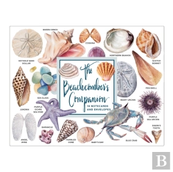 Bertrand.pt - The Beachcomber'S Companion Greeting Assortment Notecards