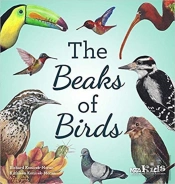 The Beaks Of Birds