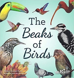 Bertrand.pt - The Beaks Of Birds