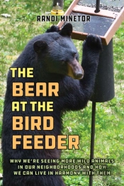 The Bear At The Bird Feeder