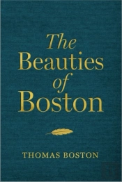 The Beauties Of Boston