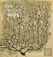 The Beautiful Brain
