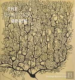 Bertrand.pt - The Beautiful Brain