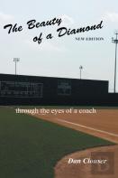 The Beauty Of A Diamond