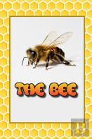 The Bee