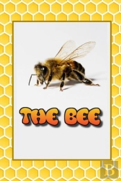 The Bee