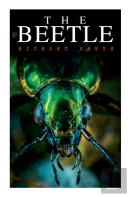 The Beetle