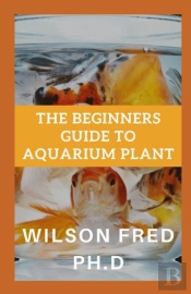 The Beginners Guide To Aquarium Plant