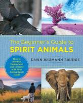 The Beginner'S Guide To Spirit Animals