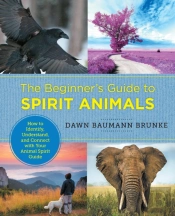 The Beginner'S Guide To Spirit Animals
