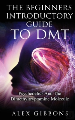 Bertrand.pt - The Beginners Introductory Guide To Dmt -  Psychedelics And The Dimethyltryptamine Molecule