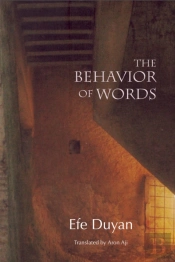 The Behavior Of Words