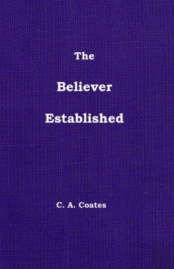 Bertrand.pt - The Believer Established