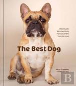 The Best Dog