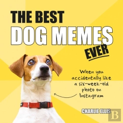 Bertrand.pt - The Best Dog Memes Ever