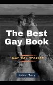 The Best Gay Book (Gay Boy Stories)