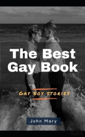The Best Gay Book (Gay Boy Stories)