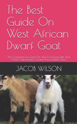 Bertrand.pt - The Best Guide On West African Dwarf Goat