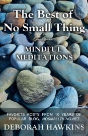 The Best Of No Small Thing - Mindful Med