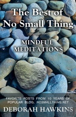 Bertrand.pt - The Best Of No Small Thing - Mindful Med