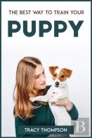 The Best Way To Train Your Puppy