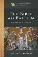 The Bible And Baptism Â€“ The Fountain Of Salvation