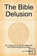 The Bible Delusion: 101 'Hang On A Minute' Moments; And God'S Mysterious Ways