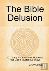 The Bible Delusion: 101 'Hang On A Minute' Moments; And God'S Mysterious Ways