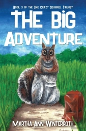 The Big Adventure
