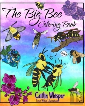 The Big Bee Coloring Book